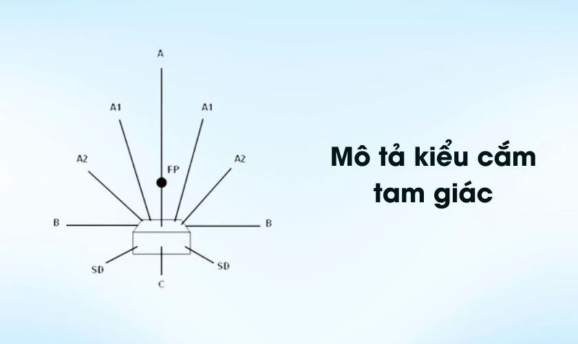 Cách cắm hoa cát tường ngày Tết theo hình tam giác