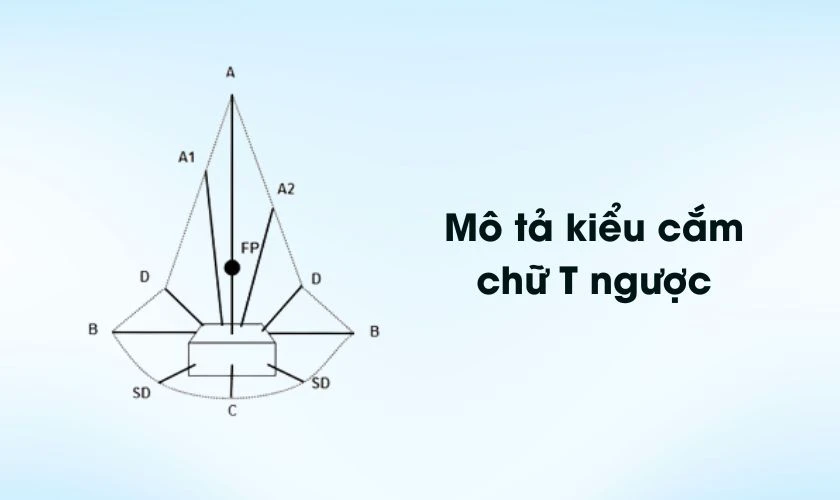 Cách cắm hoa cát tường ngày Tết hình chữ T ngược
