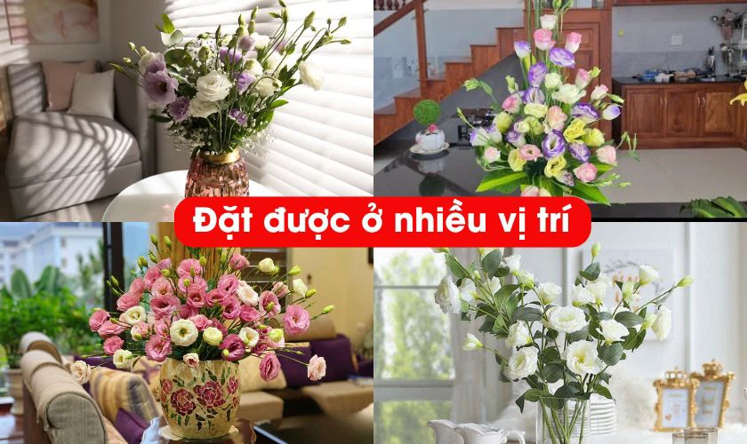 Có nên cắm hoa cát tường ngày Tết không?
