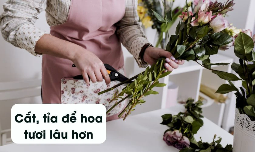 Nguyên tắc cách cắm hoa cát tường ngày Tết - Cắt tỉa hoa