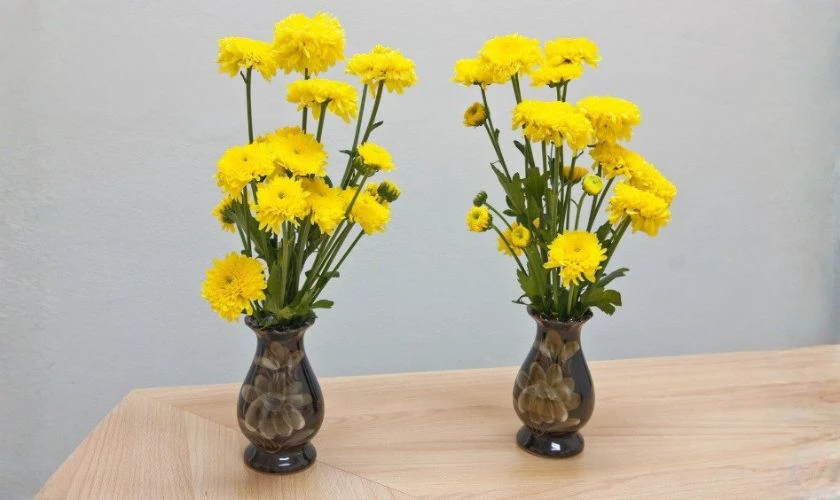 Mẫu cắm hoa cúc vàng đơn giản, đẹp tại nhà 2026