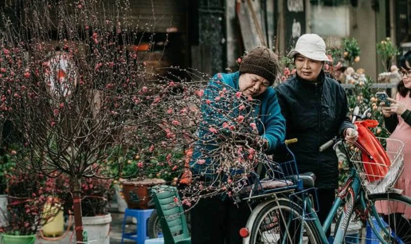 Cách chọn hoa đào tươi lâu