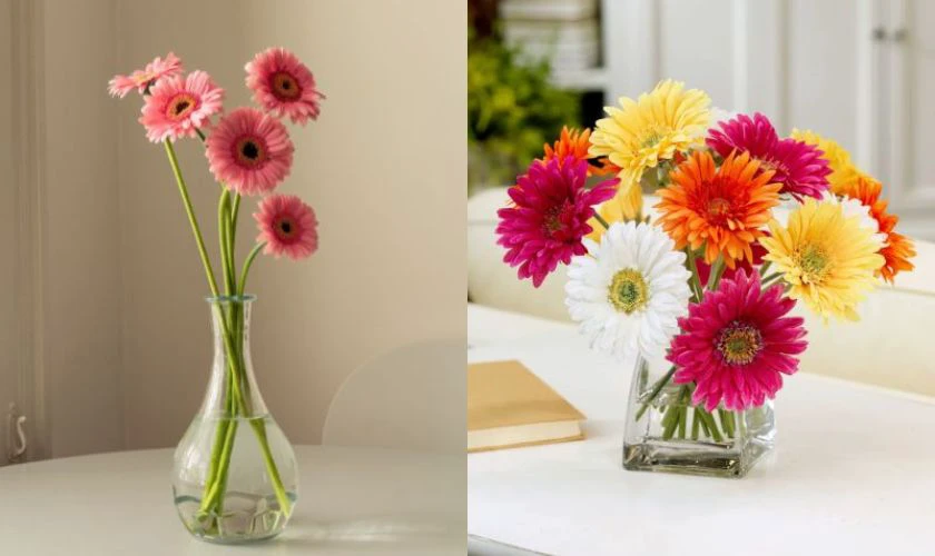 Cách cắm hoa đồng tiền ngày Tết trong bình thủy tinh trong suốt