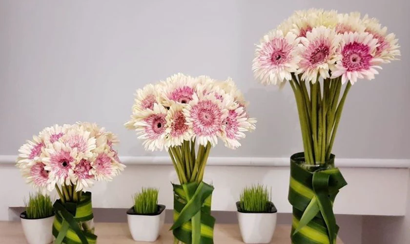 Cách cắm hoa đồng tiền ngày Tết phong cách tối giản