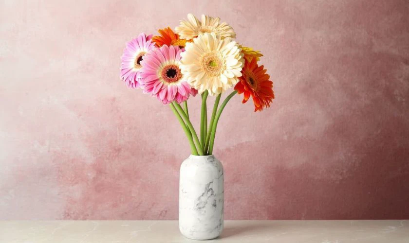 Mẫu cắm hoa đồng tiền đẹp tại nhà chưng bình