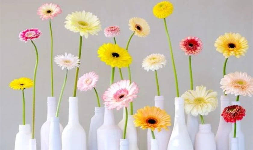 Mẫu hoa đẹp tại nhà trang trí Xuân