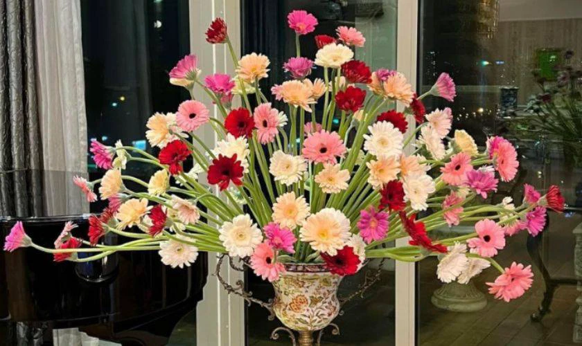 Cách cắm hoa đồng tiền ngày Tết hình oval