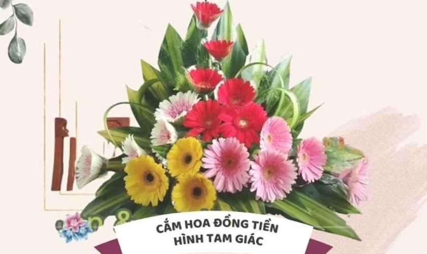 Cách cắm hoa đồng tiền ngày Tết hình tam giác