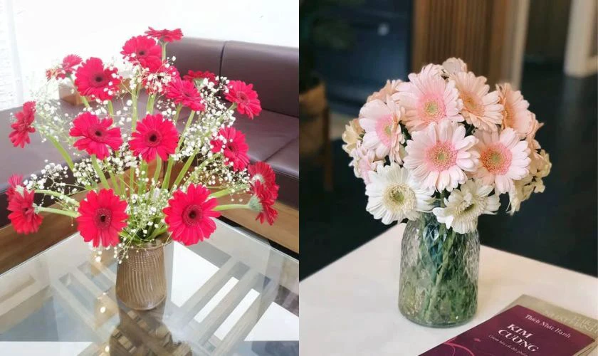 Cách cắm hoa đồng tiền ngày Tết hình tròn trong bình rộng