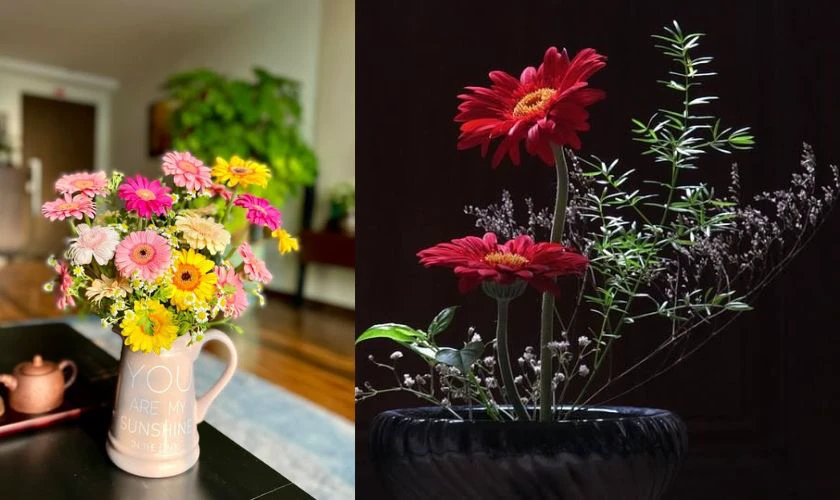 Mẫu cắm hoa đồng tiền ngày Tết tinh tế