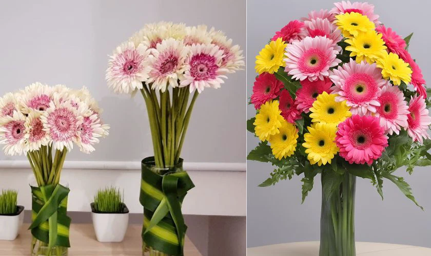 Cách cắm hoa đồng tiền ngày Tết thẳng cao