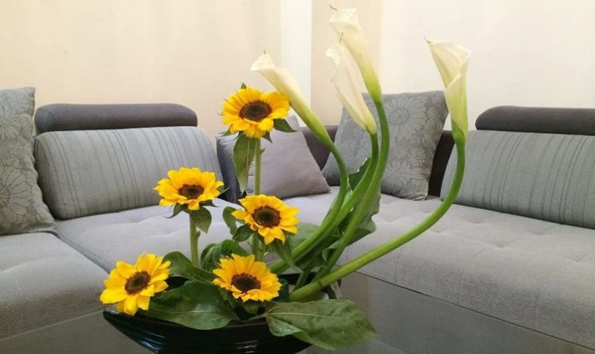 Cách cắm hoa hướng dương phong cách Ikebana