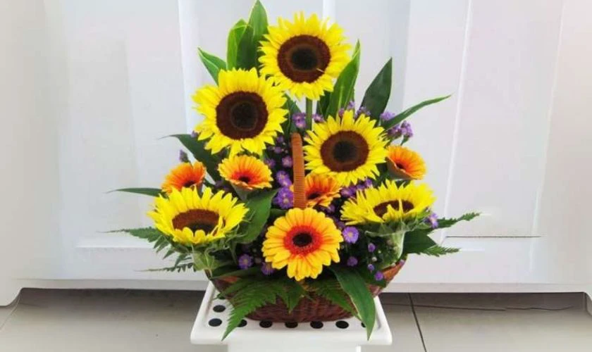 Cách cắm hoa hướng dương dáng tam giác