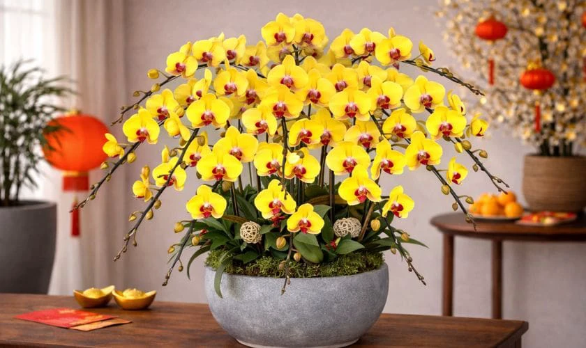 Mẫu cắm hoa lan tone vàng