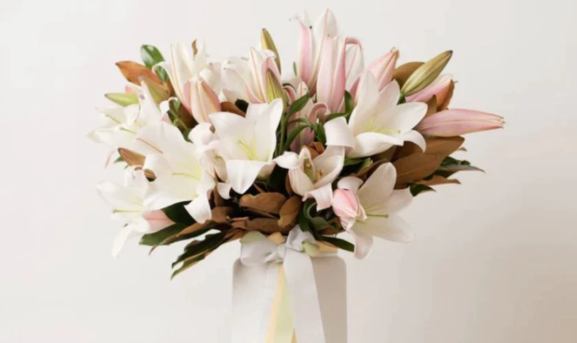 Ý nghĩa hoa ly ngày Tết