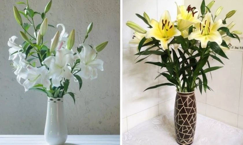 Cách cắm hoa ly ngày Tết trong bình thủy tinh cao