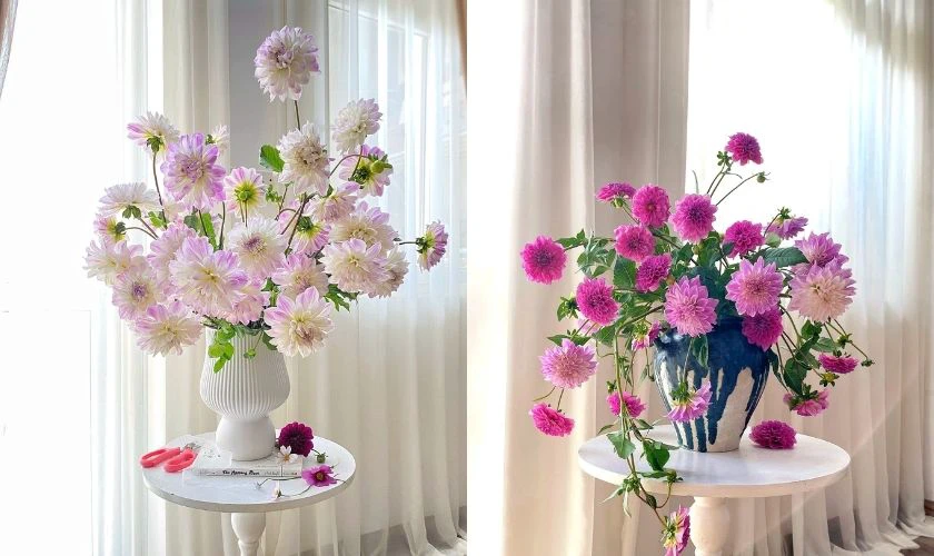 Cách cắm hoa chưng ngày Tết với hoa thược dược