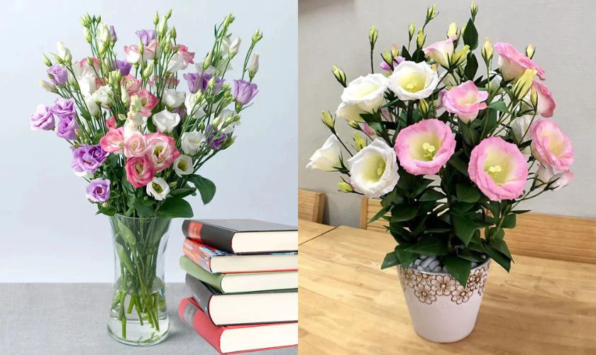 Mẫu cắm hoa hồng 2026 Bính Ngọ đẹp tại nhà
