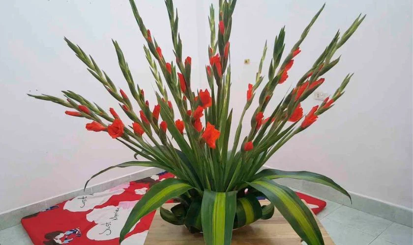 Cách cắm hoa ngày Tết với hoa lay ơn, thiết mộc lan