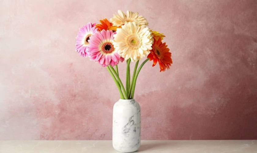 Mẫu cắm hoa đồng tiền ngày Tết 2026 Bính Ngọ đẹp tại nhà