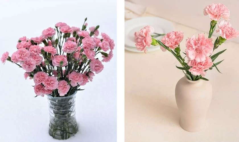 Ảnh hoa phăng sắc nét