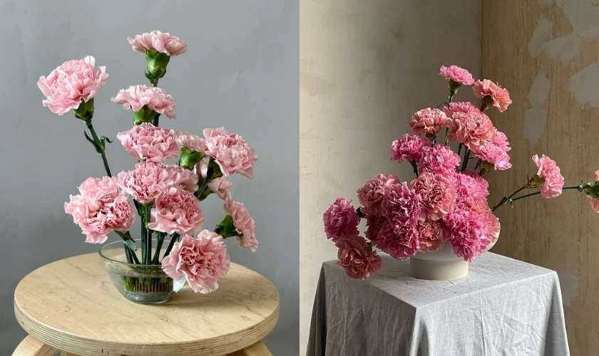 Ảnh hoa phăng hồng