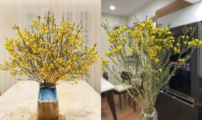 Tết có nên cắm hoa thanh liễu không