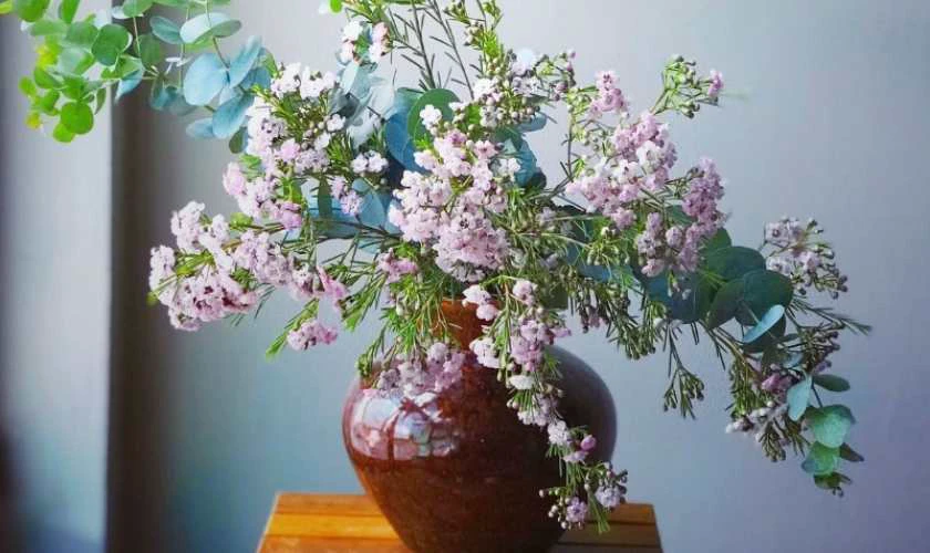Ý nghĩa cắm hoa thanh liễu ngày tết