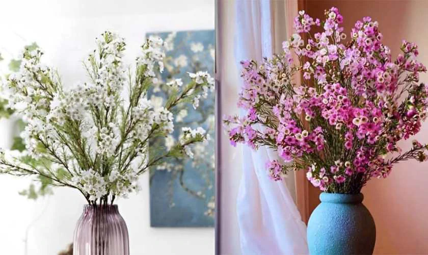 15 mẫu cắm hoa thanh liễu đẹp và độc đáo