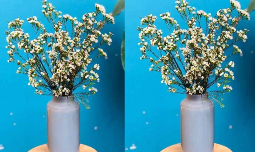 15 mẫu cắm hoa thanh liễu đẹp
