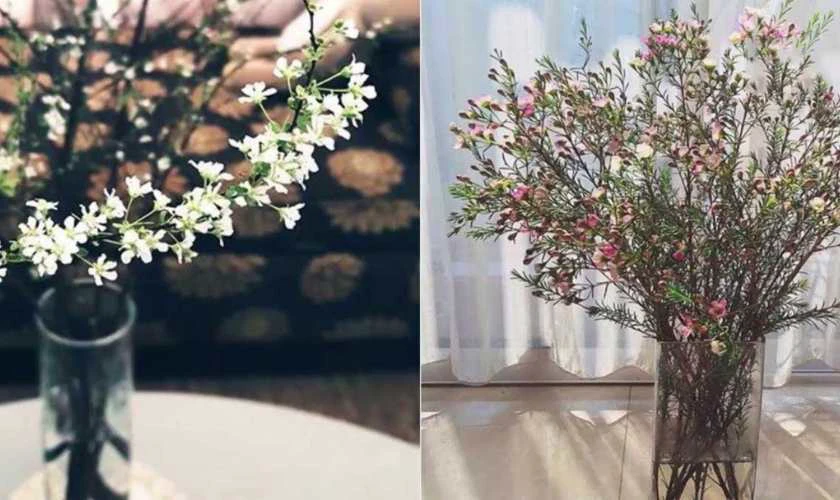 Cắm hoa tết đẹp nhất