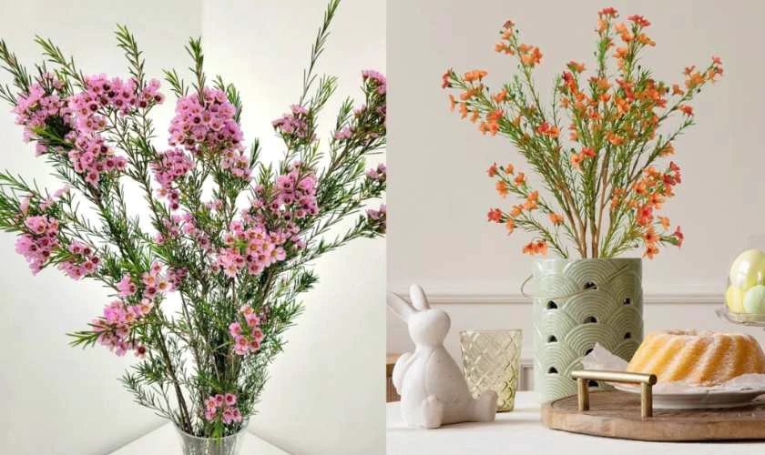 Ý tưởng trang trí với hoa thanh liễu ngày Tết
