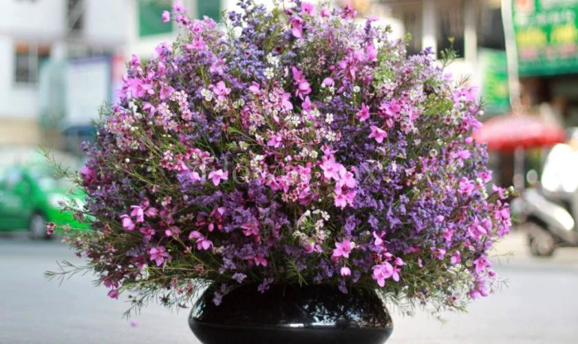 Cắm Hoa Thanh Liễu Trong Bình Thấp Đẹp