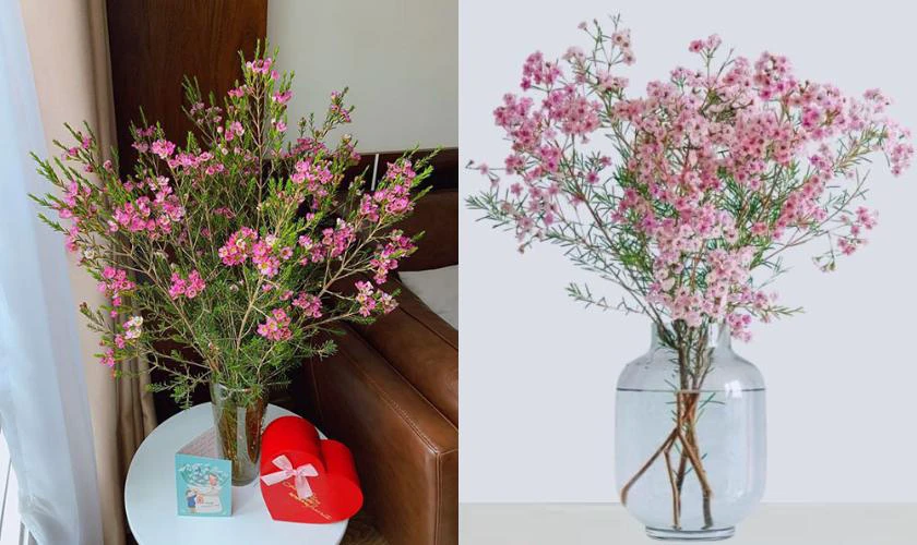 Bình Bông Đẹp Đón Năm Mới