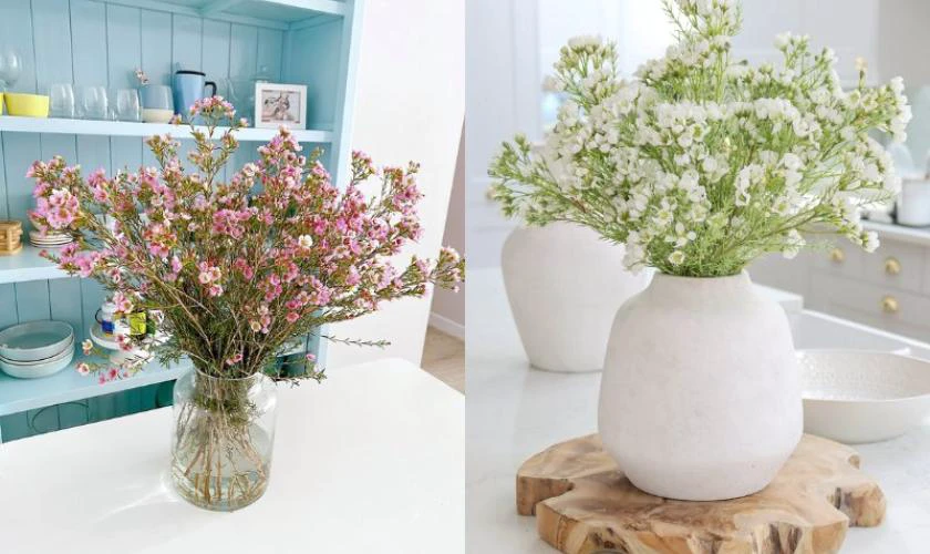 Hình Ảnh Đón Chào Năm Mới