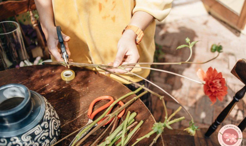 Mẹo giữ hoa thược dược chưng tết lâu tàn