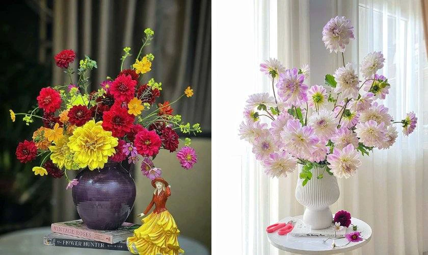 Chưng Tết hoa thược dược