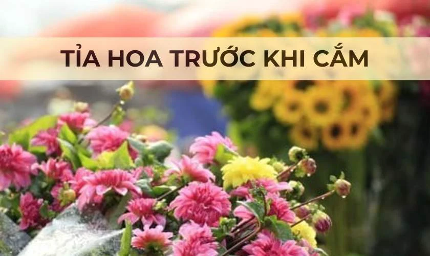 Tỉa hoa trước khi cắm