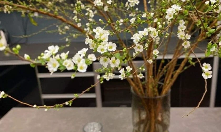 Mẫu cắm hoa đẹp ấn tượng