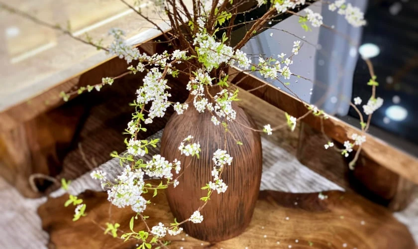 Mẹo giữ hoa tuyết mai chưng tết lâu tàn