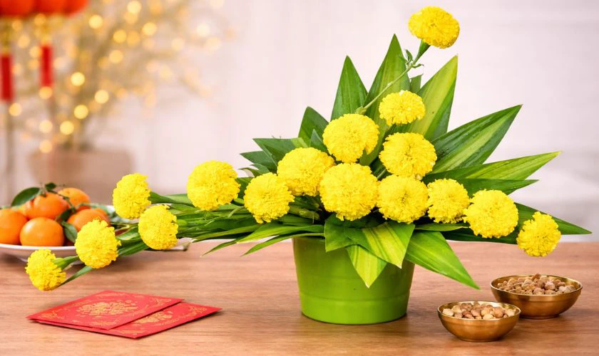 Cách cắm hoa vạn thọ ngày Tết theo dáng quạt