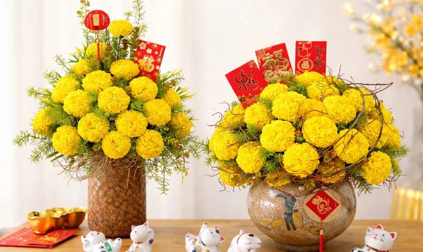 Ý nghĩa hoa vạn thọ ngày Tết