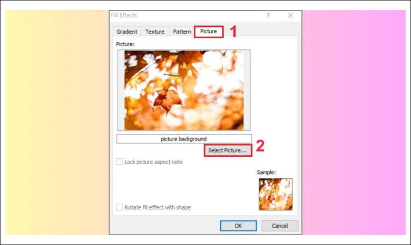 Chuyển sang tab Picture, sau đó nhấp vào Select Picture
