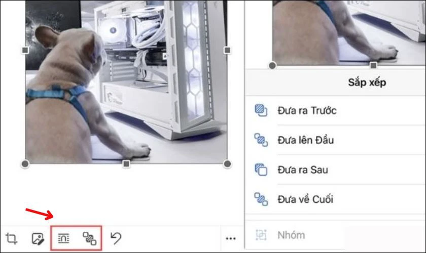 Dùng công cụ căn chỉnh để di chuyển hình ảnh đến vị trí mong muốn