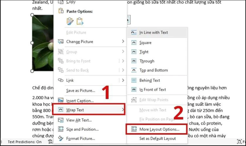 Cách chèn ảnh vào Word không bị nhảy