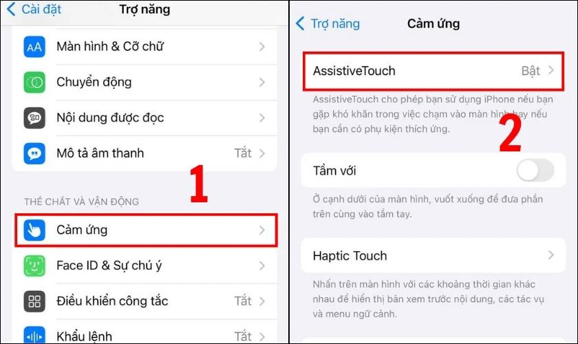 Trong phần Thể chất và vận động, bạn sẽ tìm thấy mục Cảm ứng