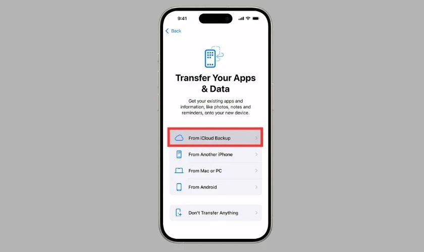 From iCloud Backup