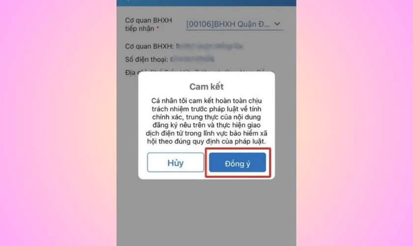 Xác nhận phần Cam kết bằng cách nhấn vào nút Đồng ý