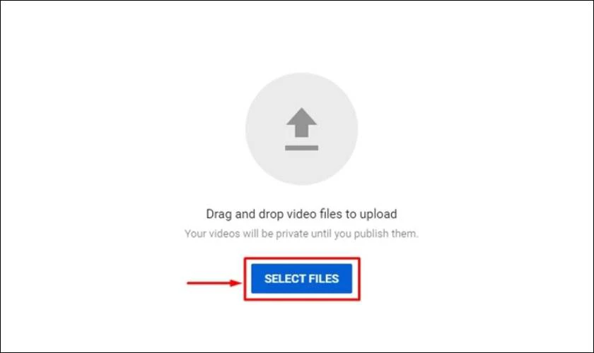 Nhấn vào Select Files