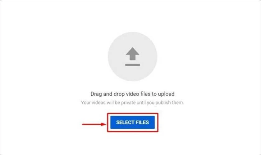 Kế đến, bạn hãy nhấn Select Files và chọn video từ máy tính